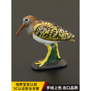 玩物院 實心兒童模擬動物模型動物玩具 彩鷸 鴴形目小型涉禽早教認知禮物
