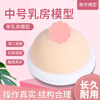 【柔軟細膩】女性乳房模型 催乳師培訓道具 矽膠假乳房 敎學模型 人體器官玩具 人體器官拚圖