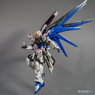【BANDAI】鋼彈模型 自由拚裝模型HG係列強襲自由獨角獸紅異端MG