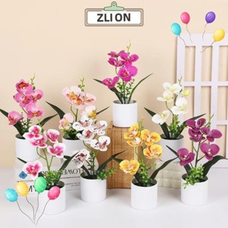 ZLION1模擬盆景,塑膠飾品配件蝴蝶蘭人造花,栩栩如生不褪色多色款白色花盆假植物盆栽桌面擺件