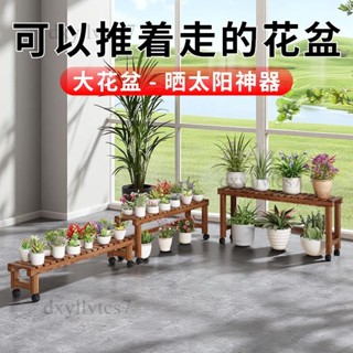 【限時優惠✨】陽臺花架 置物架 防腐木多層花架 帶輪客廳實木多肉花盆架 戶外花架 陽臺花架 落地花架 植物架 盆栽架