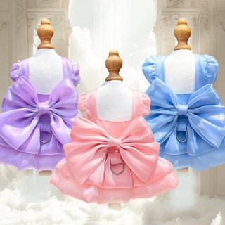 【臺灣出貨】 寵物婚紗禮服連衣裙子狗狗貓咪衣服用品可掛牽引泰迪比熊法鬥春夏