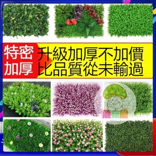 蘑菇屋 臺灣熱賣 人造綠植模擬植物牆室內陽臺背景客廳門頭壁掛塑膠草坪室外假草皮 節日慶祝