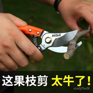 新品剪枝剪子SK5果樹修枝剪刀園藝花藝剪刀專用園林果枝修枝剪省力剪 OEPB