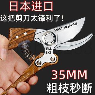 【熱賣中】日本進口 園林修枝剪 原裝SK5 果樹剪刀 家用 剪樹枝 剪子 新款 強力枝剪 園藝剪刀 修枝剪刀 樹枝剪