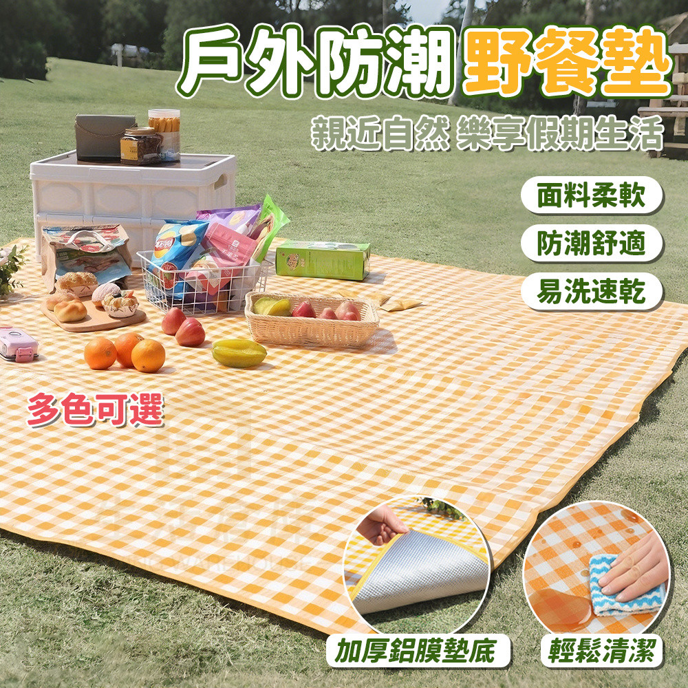 【台灣現貨🔥隔日達】加厚加大野餐墊 戶外墊 野餐地墊 防潮防水 露營用品 草地沙灘使用 可折疊設計 輕巧方便收納