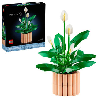 LEGO樂高積木/ 花卉/ 11504/ Botanicals白鶴芋 eslite誠品
