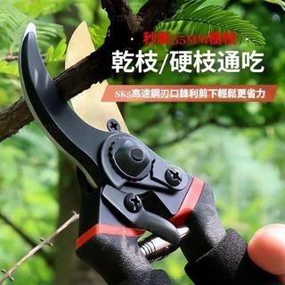 熱賣促銷🔥樹枝剪 園藝大剪刀 剪刀枝剪子 修枝剪 園藝剪刀 花木德國工具原裝園林大號修枝進口SK5修枝剪 園藝剪 剪刀