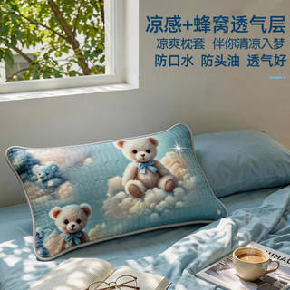 夏季涼爽蜂窩透氣枕套防口水頭油隔汗大號成人48X74家用枕頭套子