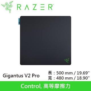Razer 雷蛇 Gigantus V2 Pro Control 巨甲蟲 滑鼠墊 L