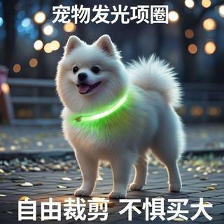 LED發光寵物項圈 USB充電式寵物發光項圈 炫彩夜光遛狗項圈 LED發亮項圈 寵物項圈 狗狗項圈 夜間外出 田螺精選