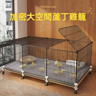 免運宅配🌟蘆丁雞專用陽臺養雞籠子家用室內 養殖籠 育雛鵪鶉小黃鴨飼養箱 鐵籠