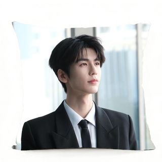 💖張凌赫 張凌赫抱枕 小核桃必備 張凌赫應援周邊 逐玉張凌赫 張凌赫同款枕頭 謝徵 張凌赫明星周邊午睡枕頭雙面可定製抱