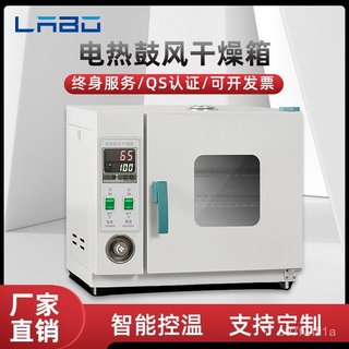 電熱鼓風乾燥箱高溫加熱小型工業烤箱恆溫烘乾機實驗室烘箱廠家