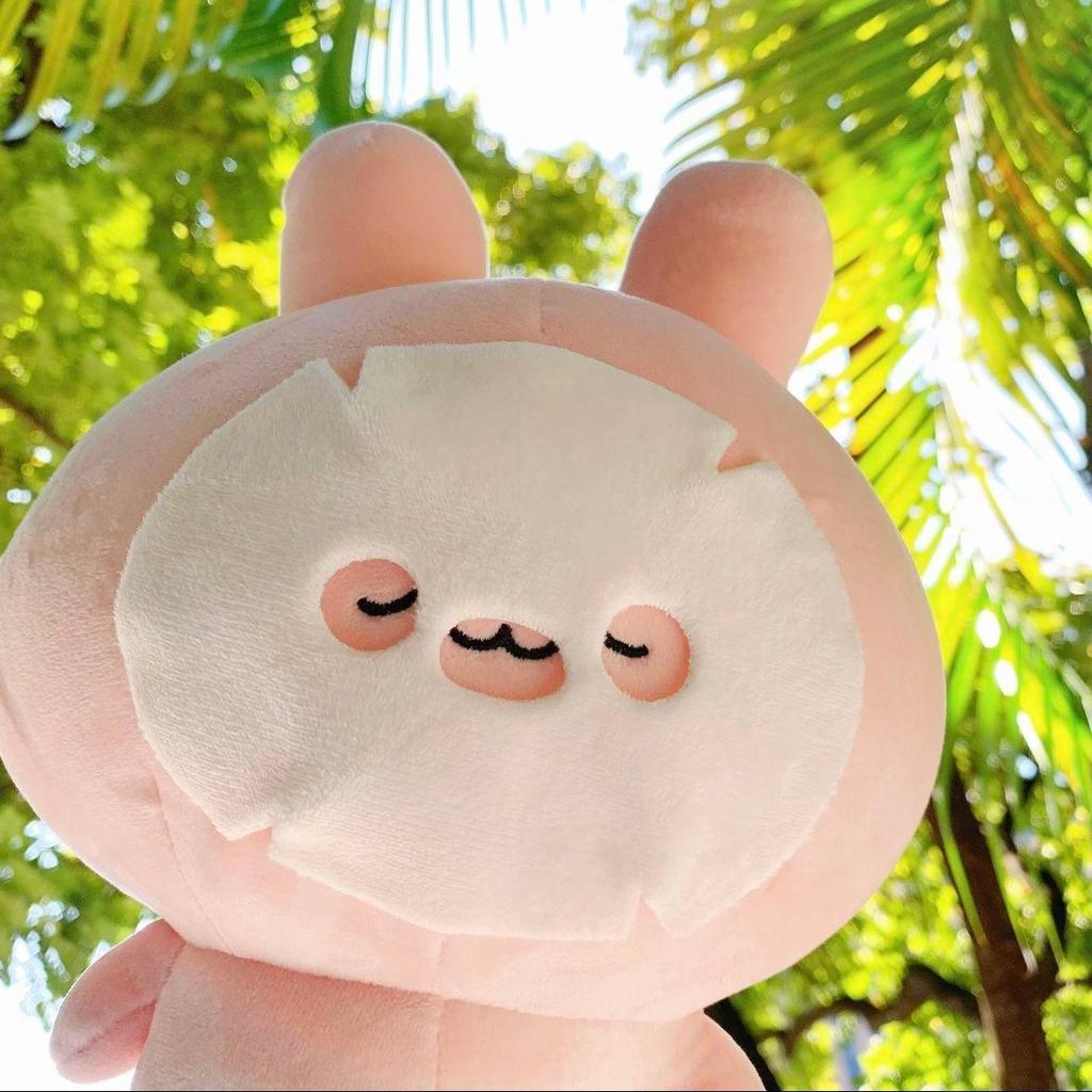 🚀臺灣出貨🚀超萌asamimi阿莎咪米玩偶可愛超軟粉紅兔子公仔女生治癒生日禮物