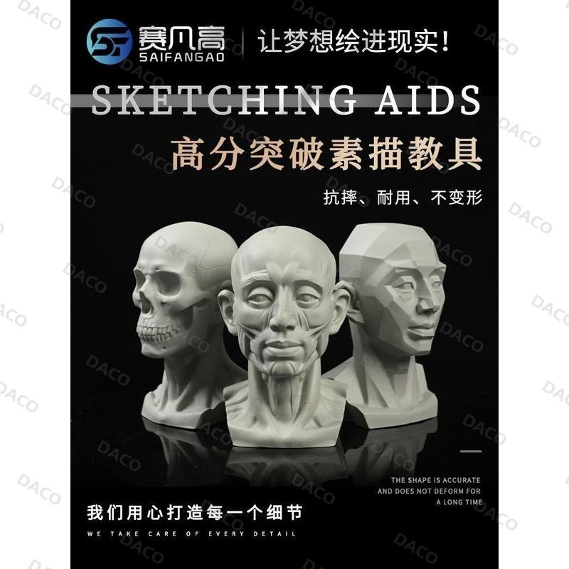 賽凡高肌肉骨骼繪畫素描教具石膏繪畫美術生教具人肌肉頭骨模型