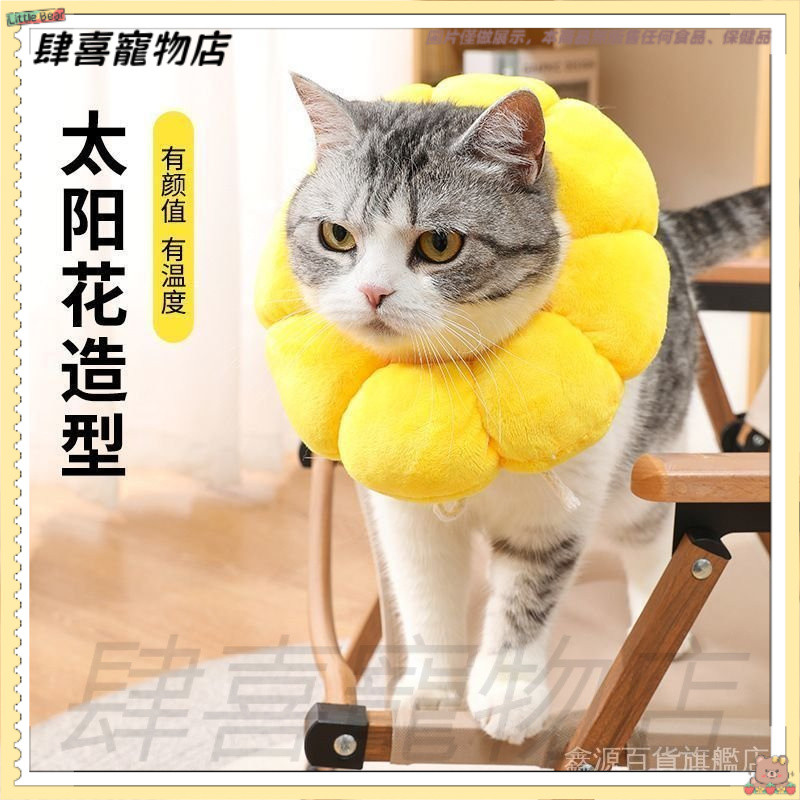 太陽花造型伊麗莎白圈 寵物防舔頭套 貓咪頸圈 伊莉莎白頸圈 貓頭套 伊莉莎白頭套 寵物頭套 羞恥圈 防舔圈 狗頭套 貓狗