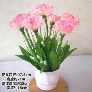 🔥🔥五一限時倒數【臺灣出貨】仿真花假花康乃馨小盆栽家居室內餐桌裝飾花套裝絹花小擺件盆景花