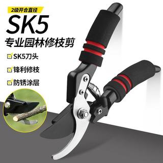 SK5鋼園藝修枝剪粗枝剪刀修枝摘果剪強力剪子不鏽鋼園林工藝剪刀