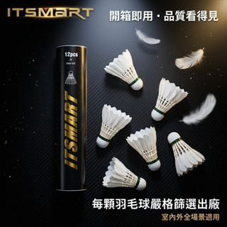 耐打 羽毛球 練習球 訓練球 羽球筒 軟木球頭 好打省力 抗風 運動用品 3入 6入 12入 體育 運動 學校系隊 訓練