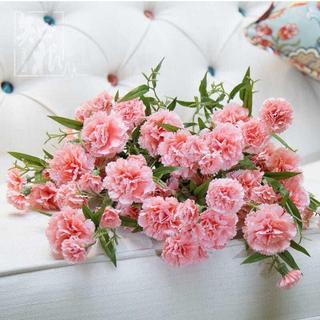 仿真花6頭康乃馨花束假花乾花塑膠花裝飾花束客廳絹花母親節禮物QS7V
