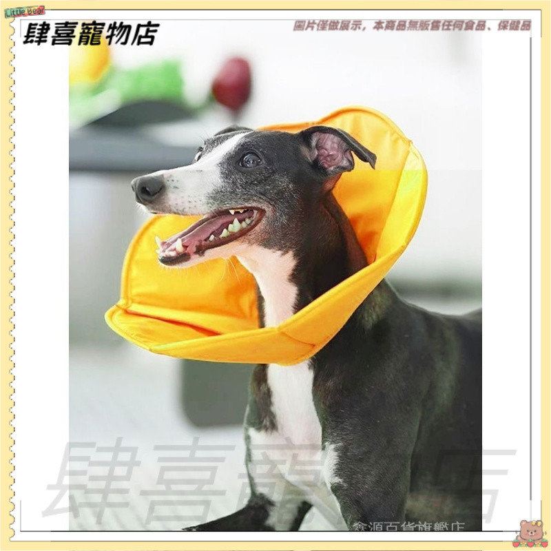 【可調節軟頭套】寵物伊麗莎白圈 貓咪狗狗防舔咬項圈 中小型犬軟頭套可調節脖套 伊莉莎白頸圈貓頭套伊莉莎白頭套寵物頭套羞恥