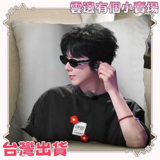 【劉宇寧】抱枕 劉宇寧抱枕 劉宇寧應援 劉宇寧禮物 劉宇寧靠墊 明星周邊 靠墊 劉宇寧周邊