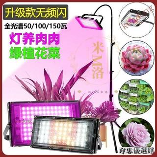 【熱銷下殺】植物燈 LED 50W-150W 植物燈 兩種燈光選擇 仿太陽光 植物生長燈光 多肉植物燈 NMHX