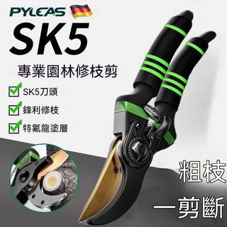✅臺灣出貨✅SK5德國進口剪樹強力 樹枝剪 園藝修枝剪 傢用花木葡萄剪子 修剪樹枝 強力剪刀 園藝工具 園藝剪 果樹專用