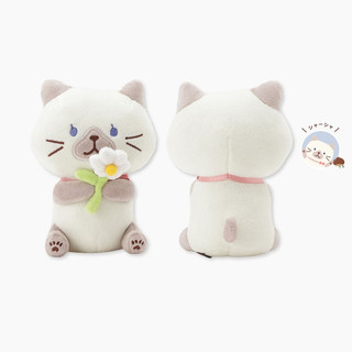 日本 HAPiNS Fuku Fuku Nyanko 表白吉祥物玩偶/ 香香隱藏貓 eslite誠品