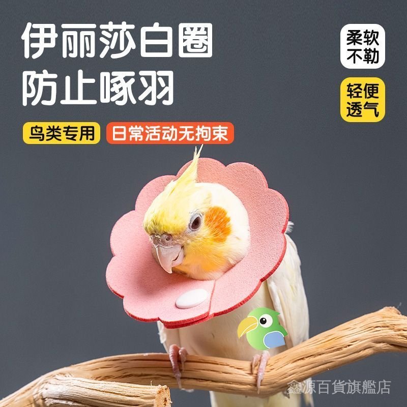 🐶台灣出貨🐱鸚鵡伊麗莎白圈牡丹玄鳳小太陽不勒脖項圈防啃咬防細項圈掛脖頭套 伊莉莎白頸圈貓頭套伊莉莎白頭套寵物頭套羞恥圈