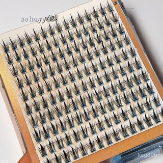 🏆厝邊優選🏆LODO塔尖麥繐款假睫毛混血分段式細黑梗濃密單簇洛兜眼睫毛 146L