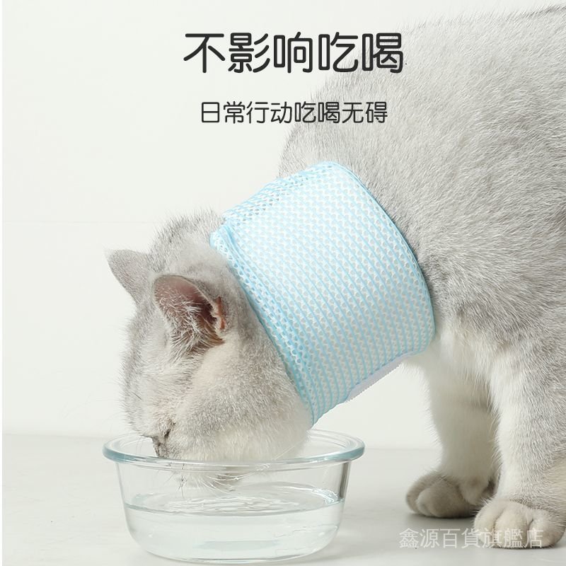 🐶台灣出貨🐱貓咪狗狗伊麗莎白項圈寵物脖子頸椎固定傷口頭套護頸防透氣防抓咬 伊莉莎白頸圈貓頭套伊莉莎白頭套寵物頭套羞恥圈
