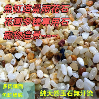 魚缸造景專用石 天然小玉石 雨花石 園林裝飾 花卉鵝卵石 小石頭 花園 珍珠石 花園城堡 寵物造景 園藝 觀葉 多肉
