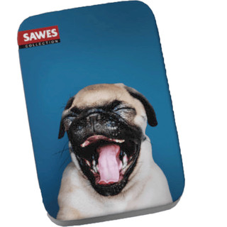 SAWES利格芬喉糖/ Pug eslite誠品
