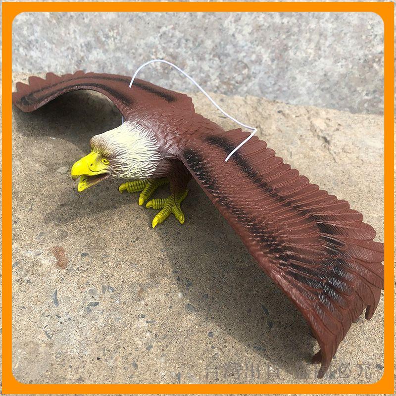 *臺灣出貨* 老鷹 真 驅鳥 真 老鷹 模型飛鳥猛禽模型益智認知擺件陽臺韓系 驅鳥神器 藝園神器 藝園掛件