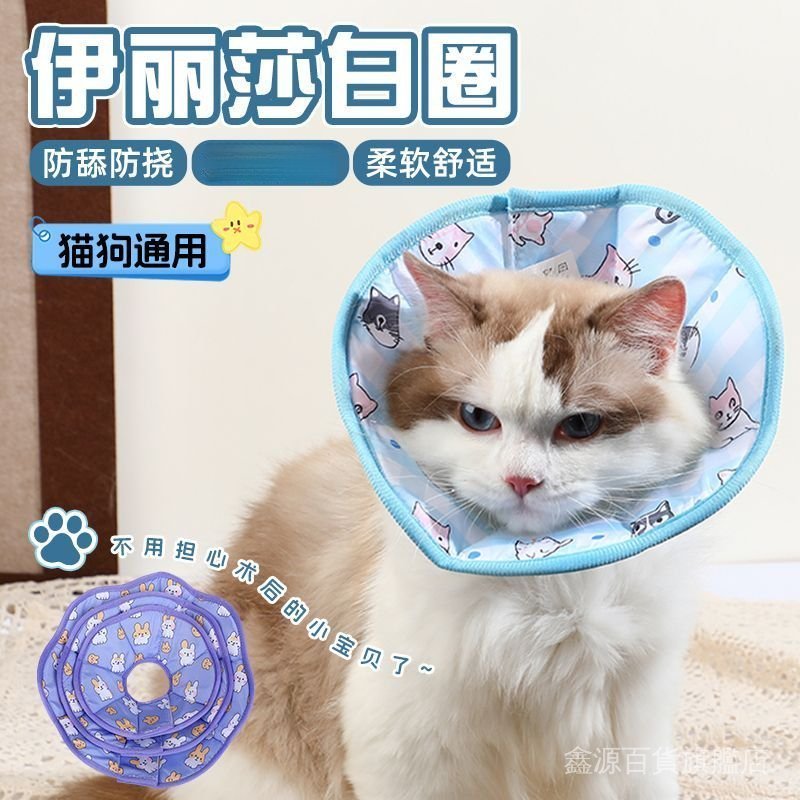 🐶台灣出貨🐱伊麗莎白輕薄軟款圈貓防水寵物貓圈狗狗頭套貓咪項圈超輕調節 伊莉莎白頸圈貓頭套伊莉莎白頭套寵物頭套羞恥圈防舔