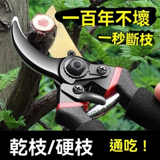 免運💒臺灣熱銷🐬德國精工藝園剪刀剪樹枝專用剪刀修枝剪園林果樹修花家用sk5剪子