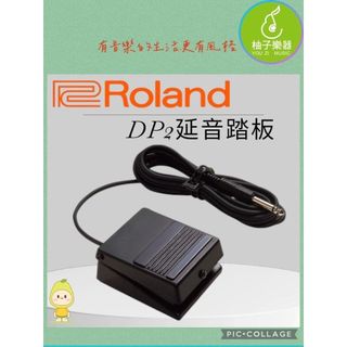 Roland DP-2 延音踏板｜瞬時腳踏開關・2.9m 連接線｜柚子樂器