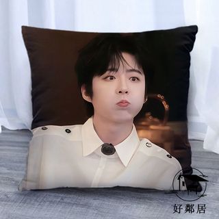 臺灣出貨🔥劉宇寧周邊 明星應援 新款劉宇寧周邊抱枕明星枕頭學生宿舍床頭靠枕閨蜜同學朋友禮物 生日禮物 HLJ