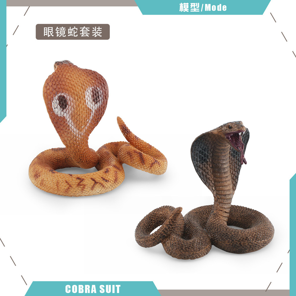 🌈仿真動物模型 野生毒蛇眼鏡蛇五毒蛇蝙蝠蛇整蠱裝飾桌面 公仔 迷你 手辦 玩具