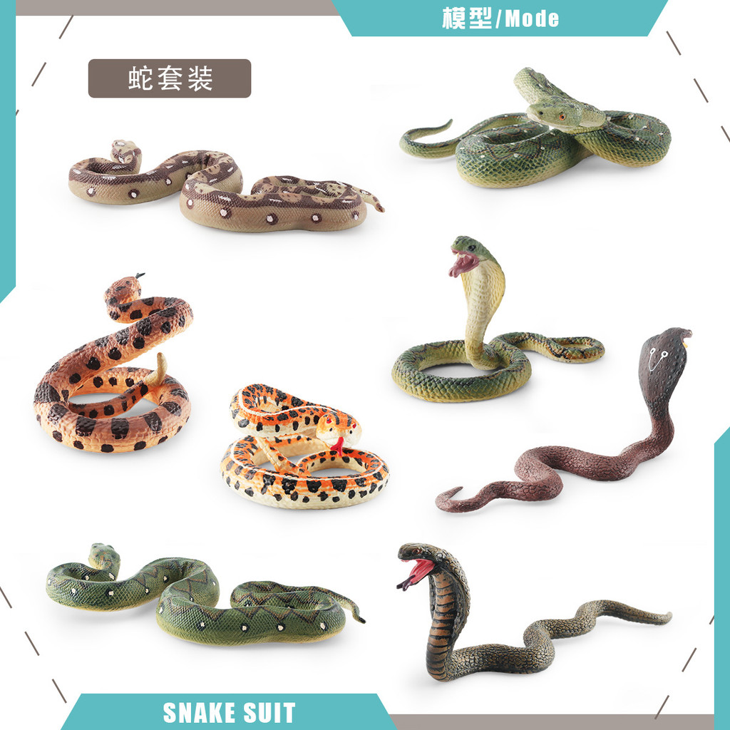 🌈仿真動物模型 野生兩棲爬行毒蛇蟒蛇響尾蛇眼鏡蛇整蠱裝飾 公仔 迷你 手辦 玩具