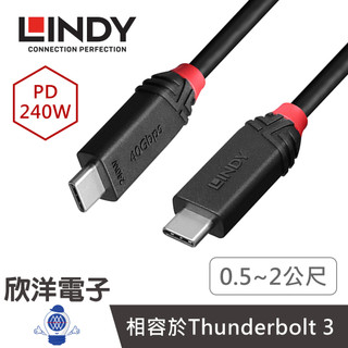 LINDY林帝 Type-C線 USB4 GEN3x2 TYPE-C 公 TO 公 傳輸線 PD240W