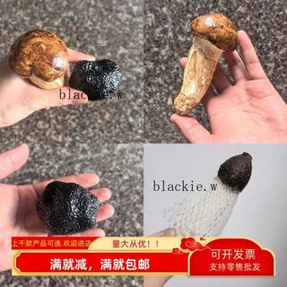 🔥優惠🔥模擬竹蓀模型假蘑菇擺件黑松露松茸雞樅菌中餐廳火鍋樣品拍照道具691