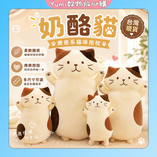 【✨台灣現貨】乳酪貓 三花貓公仔 玩偶 毛絨玩具 抱枕 娃娃 貓公仔 夾腿抱枕 陪睡 安撫娃娃 大娃娃 送女友 聖誕禮物