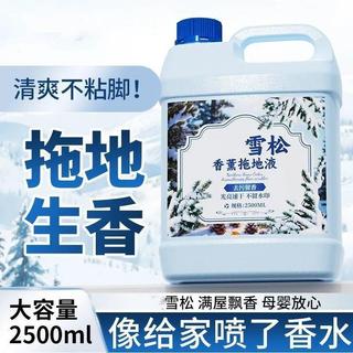 💥臺灣出貨💖雪松瓷磚木地板清潔劑 家用酒店專用去污速乾地板留地面清潔劑