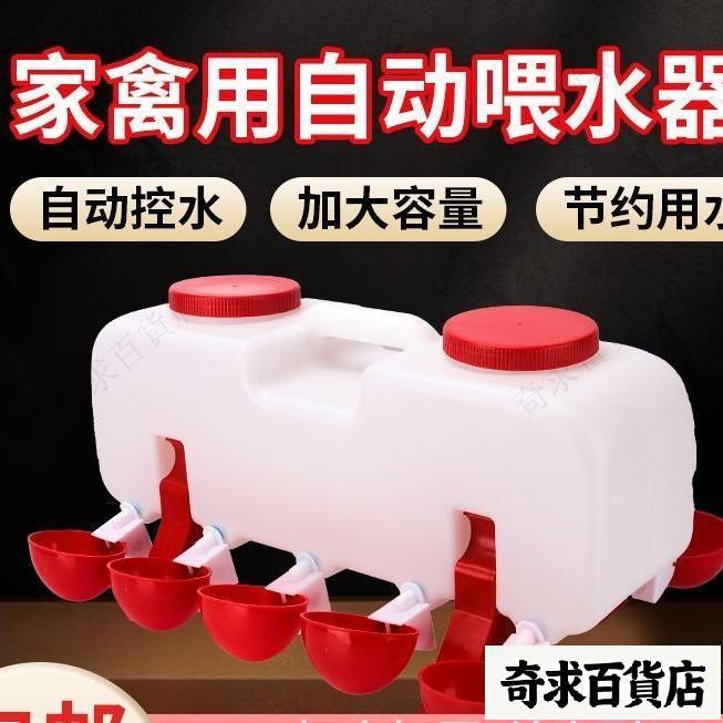 🔥臺灣出貨🔥小雞餵食器 家禽自動餵食器 飼料桶餵食器 雞用家禽自動飲水器水碗自動喂水器小雛雞鴨鴿子鵪鶉喝水碗水桶壺