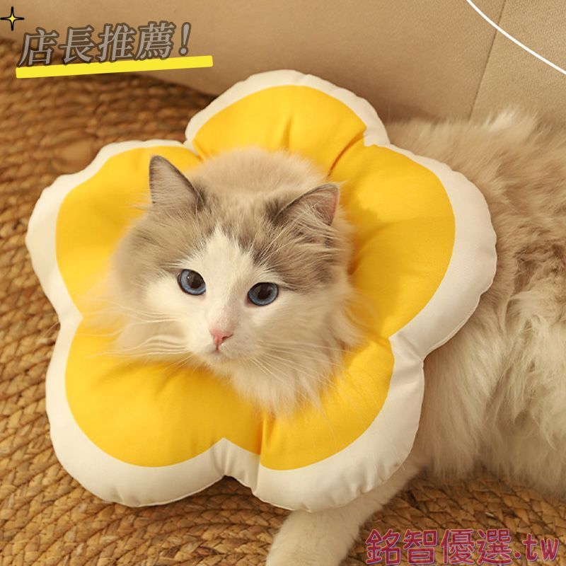 【防舔咬圈】伊莉莎白圈 狗狗 貓咪 項圈 脖套 軟伊莉莎白圈 寵物頭套 伊莉莎白頭套 寵物 貓咪頭套 犬 防舔頭套 寵物