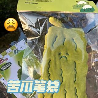 臺灣現貨🔥Mail❤️高顏值可愛搞怪苦瓜毛絨筆袋收納袋ins醜萌文具筆盒大容量女學生