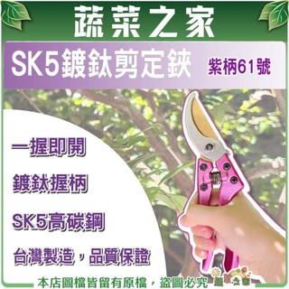 【蔬菜之家】台灣製SK5鍍鈦剪定鋏 紫柄61號(A061) 果樹剪 修枝剪 園藝剪刀 強力耐用 MIT品質
